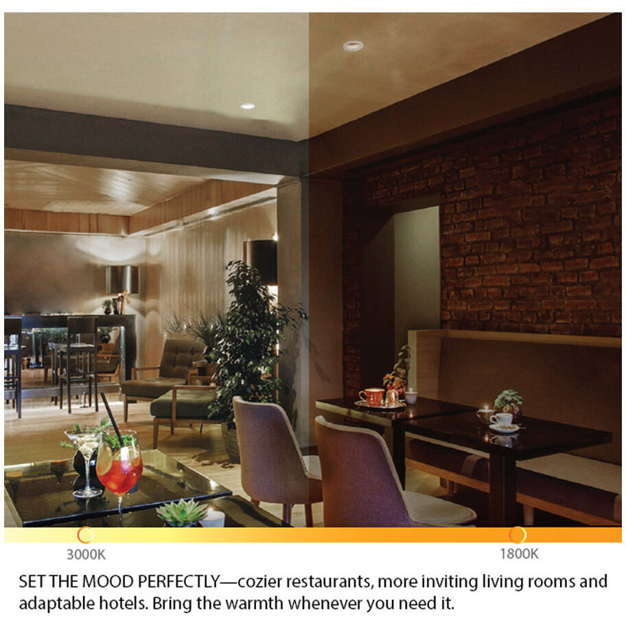 Ocularc LED White Recessed Lighting in Narrow, Warm Dim, Round