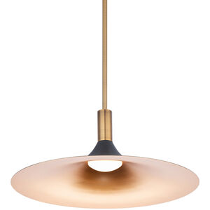 Cochere LED 18 inch Black Gold Aged Brass Pendant Ceiling Light, dweLED