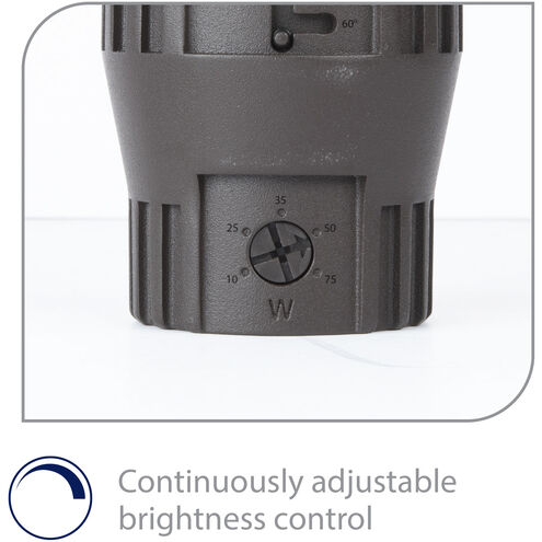 Tyler 120 11.5 watt Bronze Path Lighting, Inground Recessed Light, WAC Landscape