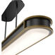Longboard LED 48.13 inch Black Aged Brass Linear Pendant Ceiling Light, dweLED