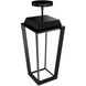 Levee LED 12 inch Black Outdoor Mini-Pendant, dweLED