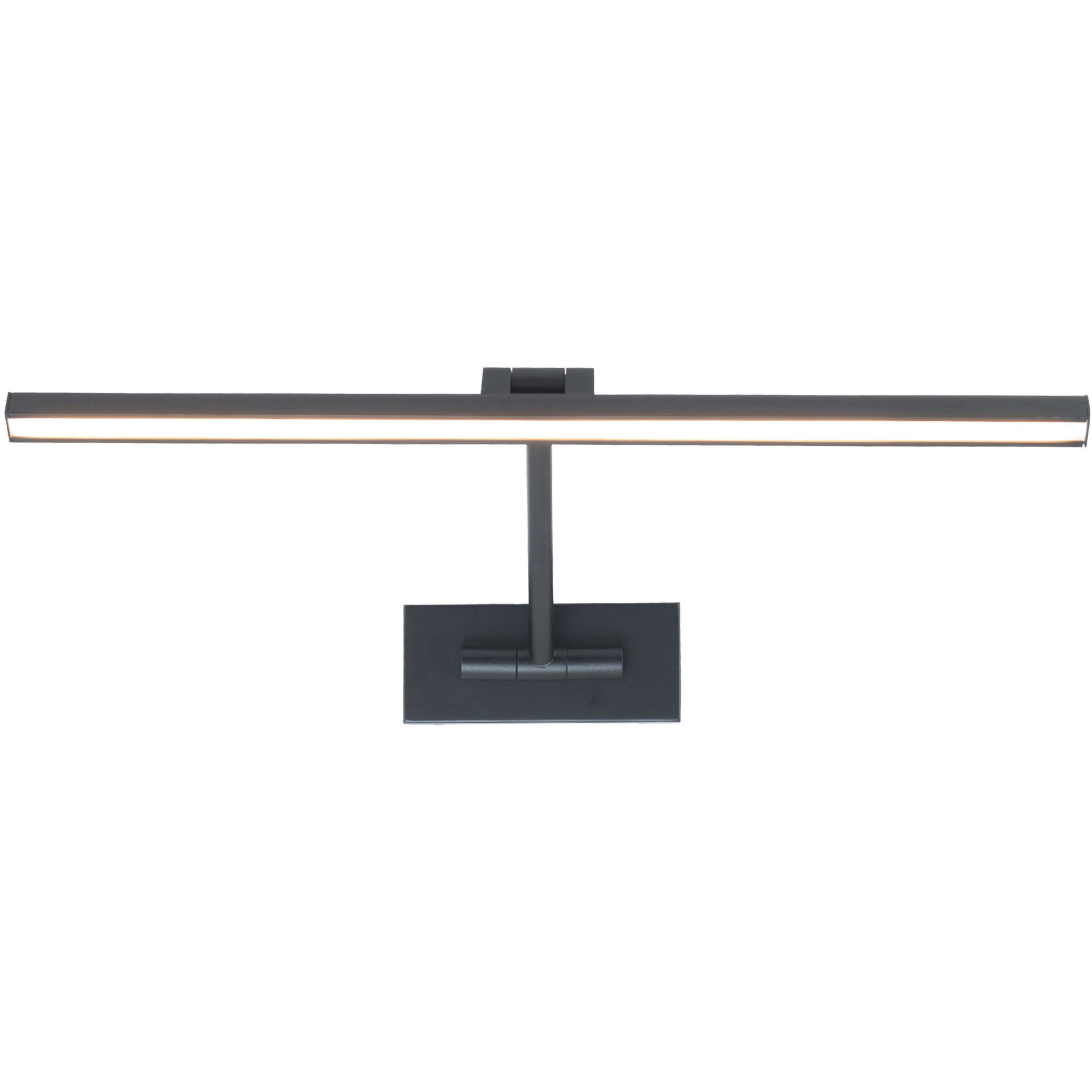 Reed 17.00 watt 24.5 inch Black Picture Light Wall Light, dweLED