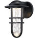 Steampunk LED 13 inch Black Outdoor Wall Light, dweLED