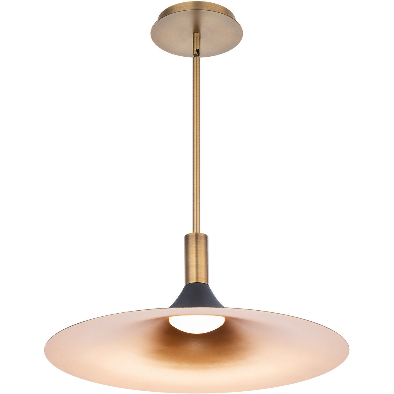 Cochere LED 18 inch Black Gold Aged Brass Pendant Ceiling Light, dweLED