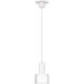 Twist-N-Lite LED 5 inch White Mini-Pendant Ceiling Light