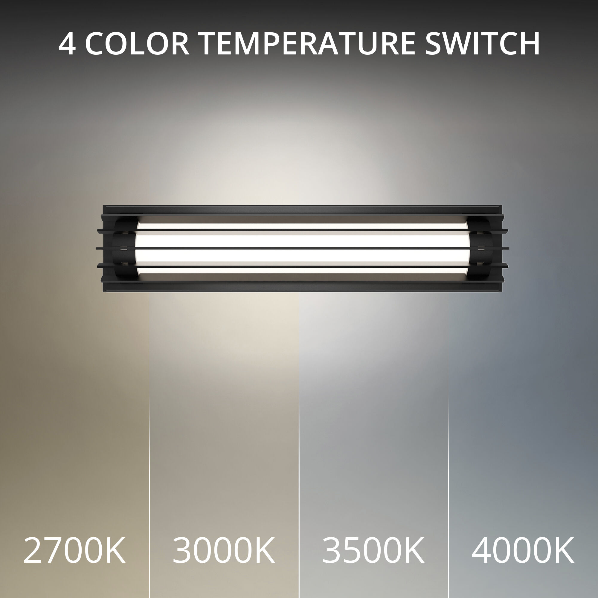 Moline LED 24 inch Black Outdoor Wall Light in 3500K, dweLED