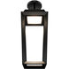 Levee LED 12 inch Black Outdoor Mini-Pendant, dweLED