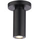 Caliber 1 Light 2.63 inch Black Flush Mount Ceiling Light