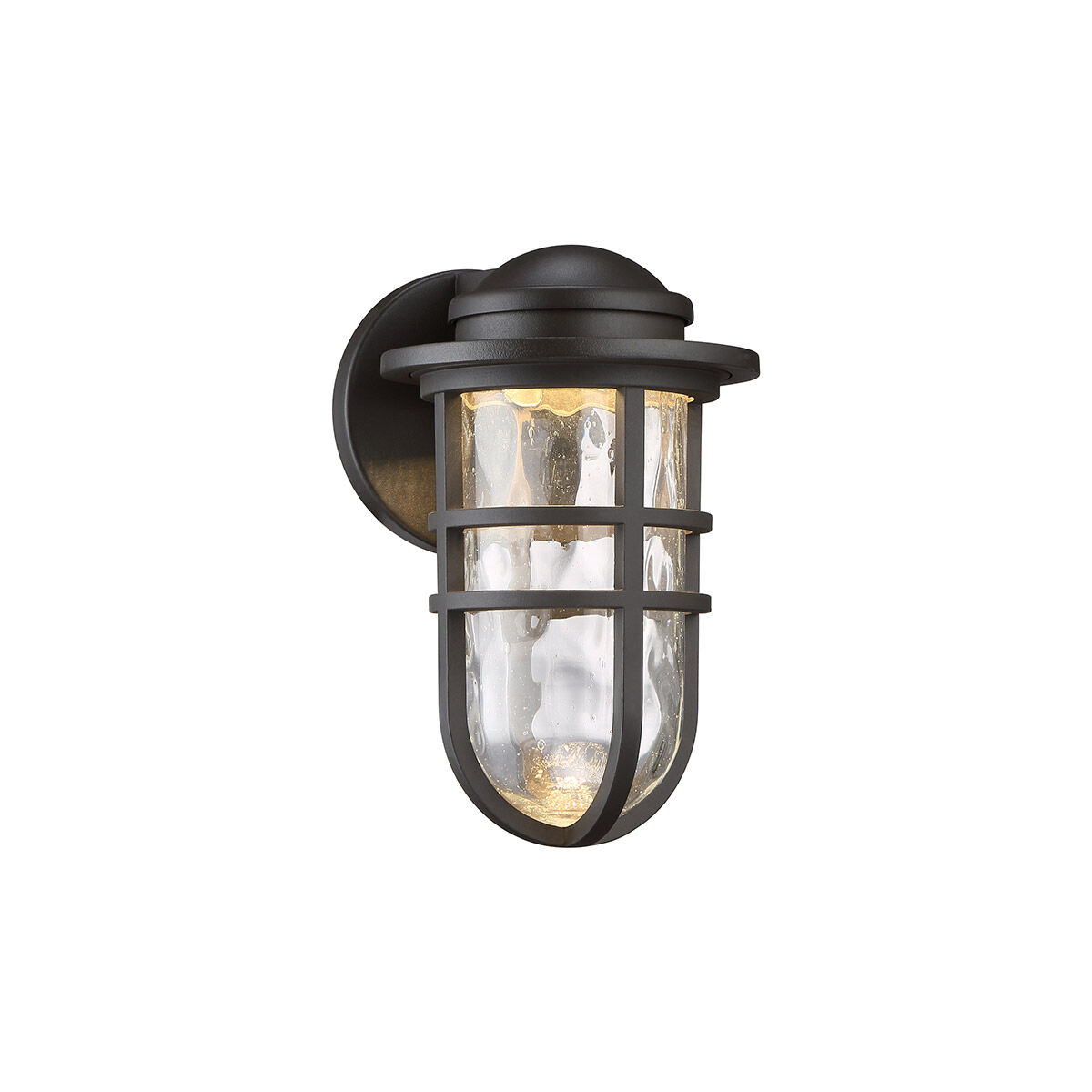 Steampunk LED 9.5 inch Black Outdoor Wall Light dweLED