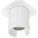 Zoron LED 3.63 inch White and Haze Outdoor Ceiling Lighting in White/Haze