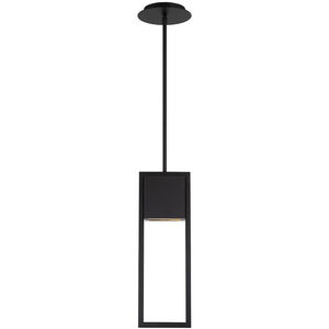 Archetype LED 4 inch Black Outdoor Pendant, dweLED