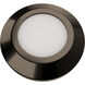 Surface Mounted Indicator Light 12 2.80 watt Bronze Stainless Steel Path Lighting in 2700K, Bronzed Stainless Steel, WAC Landscape