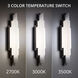 Nouveau 5 Light 5 inch Black Wall Sconce Wall Light in 3500K