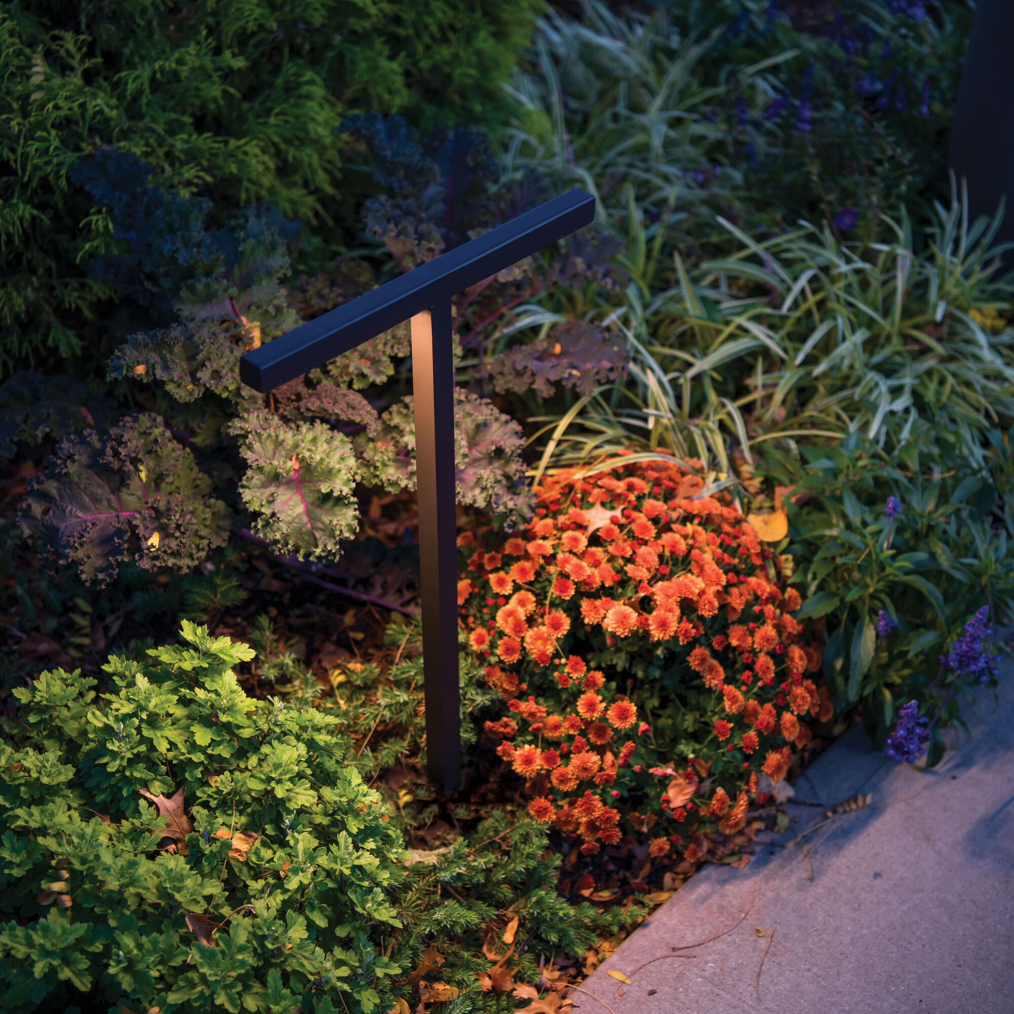 Balance 12 6.5 watt Black Path Lighting in 2700K, Path and Area Light, WAC Landscape