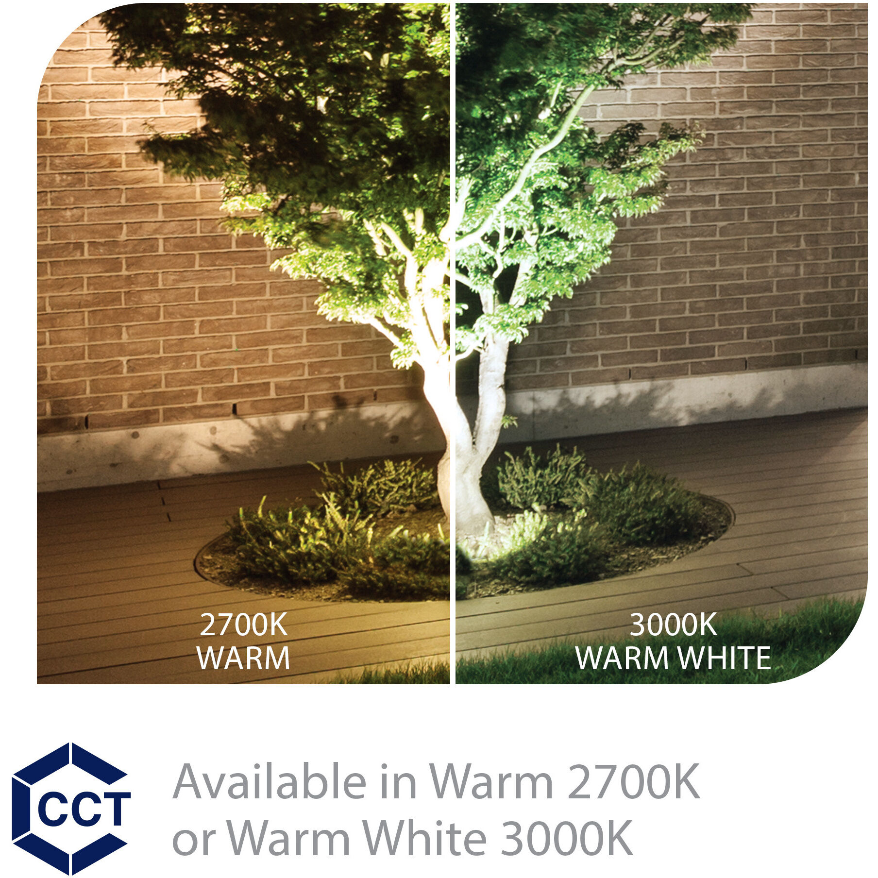 Tyler 12 12 watt Bronze Path Lighting in 2700K, Inground Recessed Light, WAC Landscape