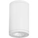 Tube Arch 1 Light 7.88 inch Outdoor Ceiling Light
