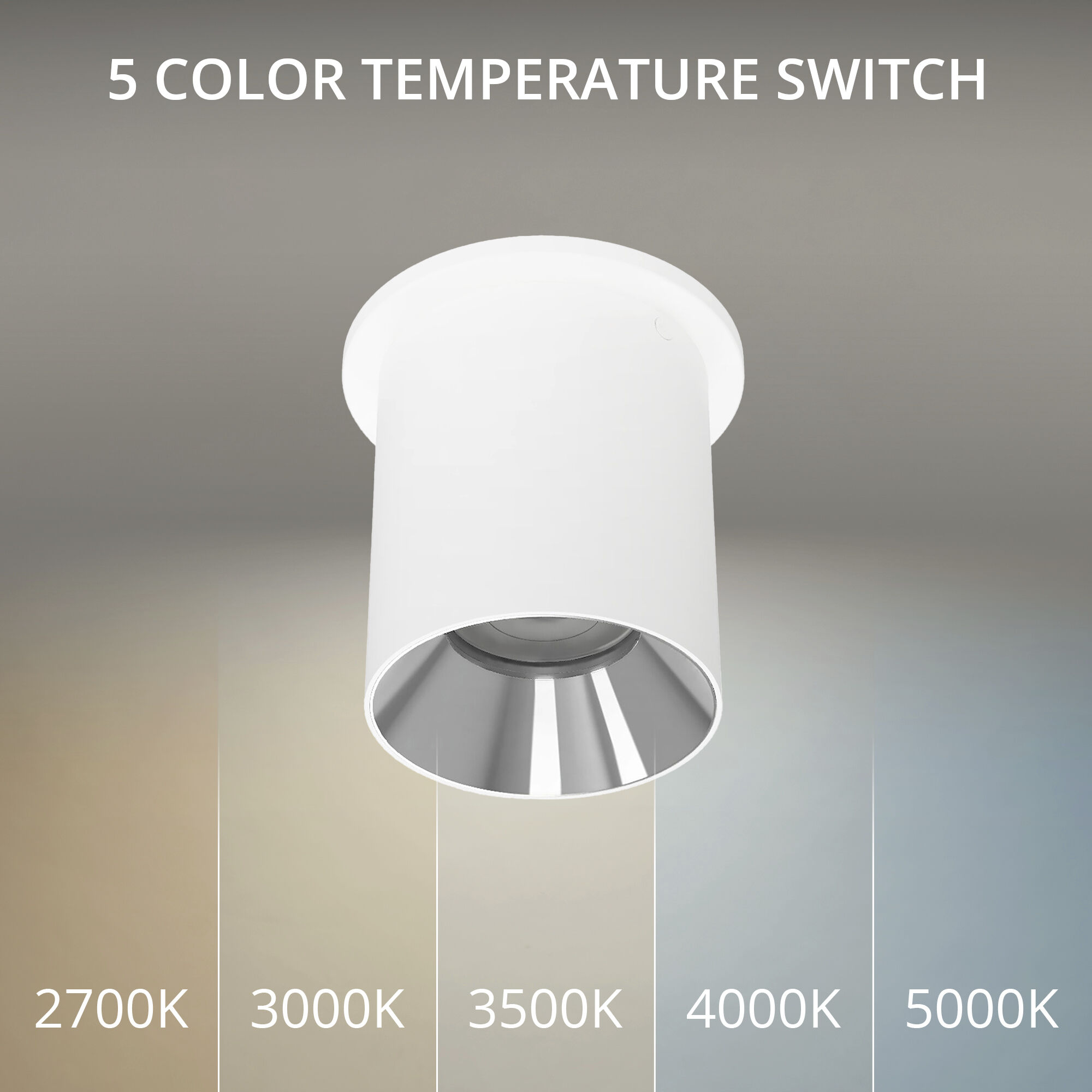 Zoron LED 3.63 inch White and Chrome Outdoor Ceiling Lighting in White/Chrome