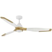 Indoor Ceiling Fans