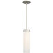 Elementum LED 4.5 inch Satin Nickel Pendant Ceiling Light in 3000K, dweLED