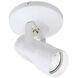 Spot 007 White 50 watt LED Spot Light
