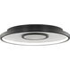 Pinpoint 1 Light 14.38 inch Flush Mount