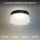 Balto III LED 5.38 inch Black Outdoor Flush Mount, dweLED