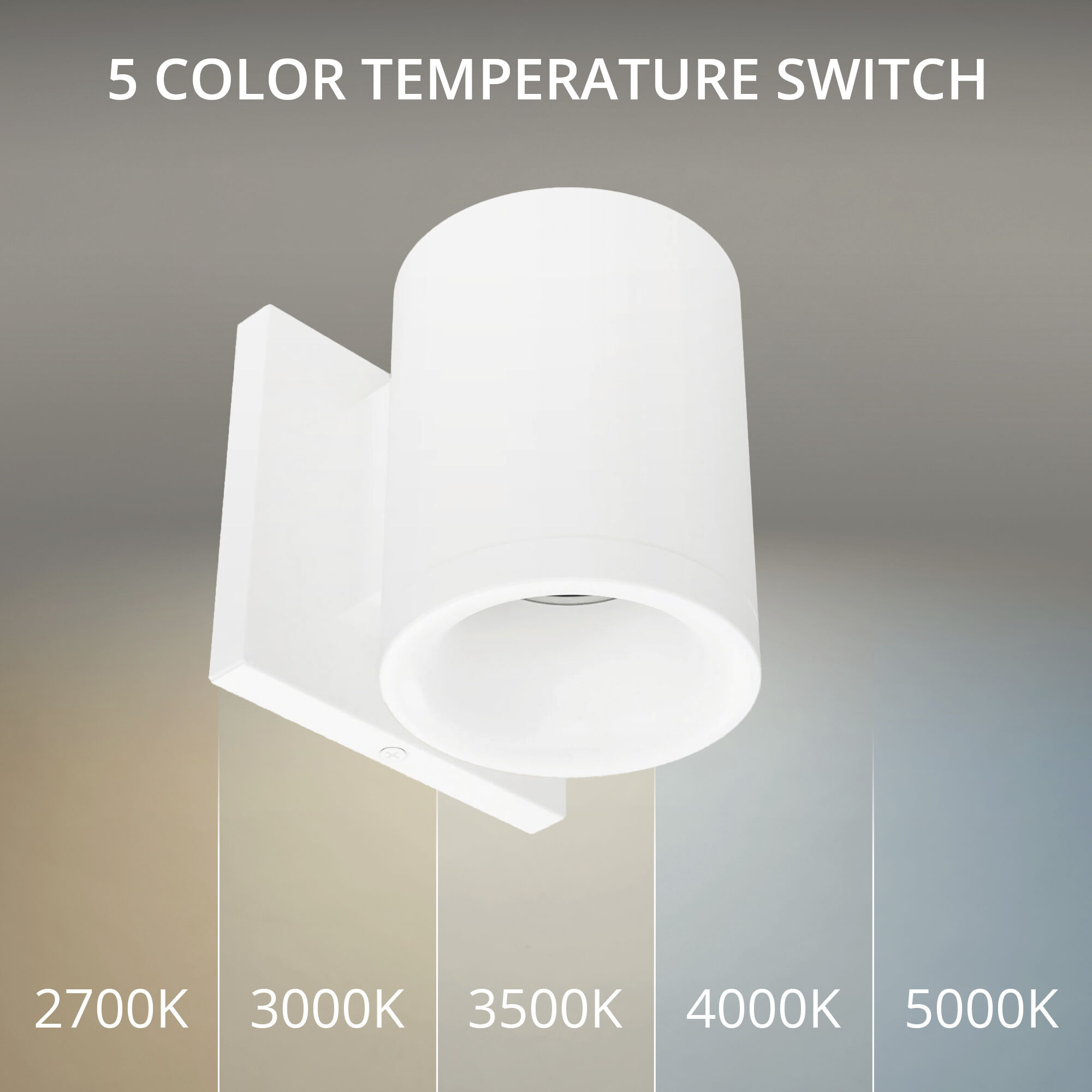 Zoron LED 4.75 inch Arc White Outdoor Wall Lighting