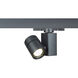 Exterminator II 1 Light 120 Black Track Head Ceiling Light in Flood, 90, 2700K