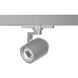 Paloma 1 Light 277 Platinum Track Head Ceiling Light in Spot, 90, 3000K