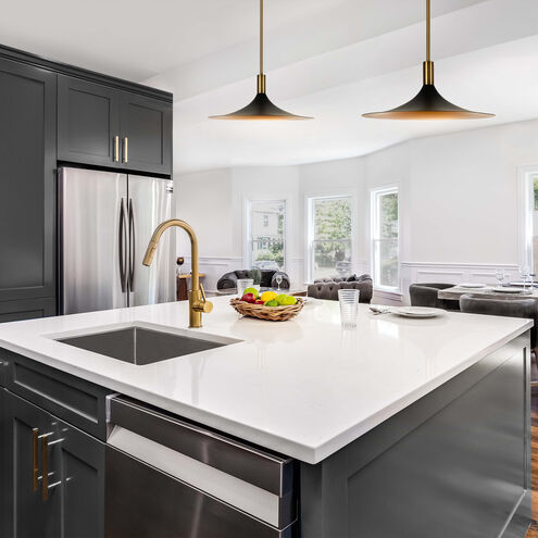 Cochere LED 18 inch Black Gold Aged Brass Pendant Ceiling Light, dweLED