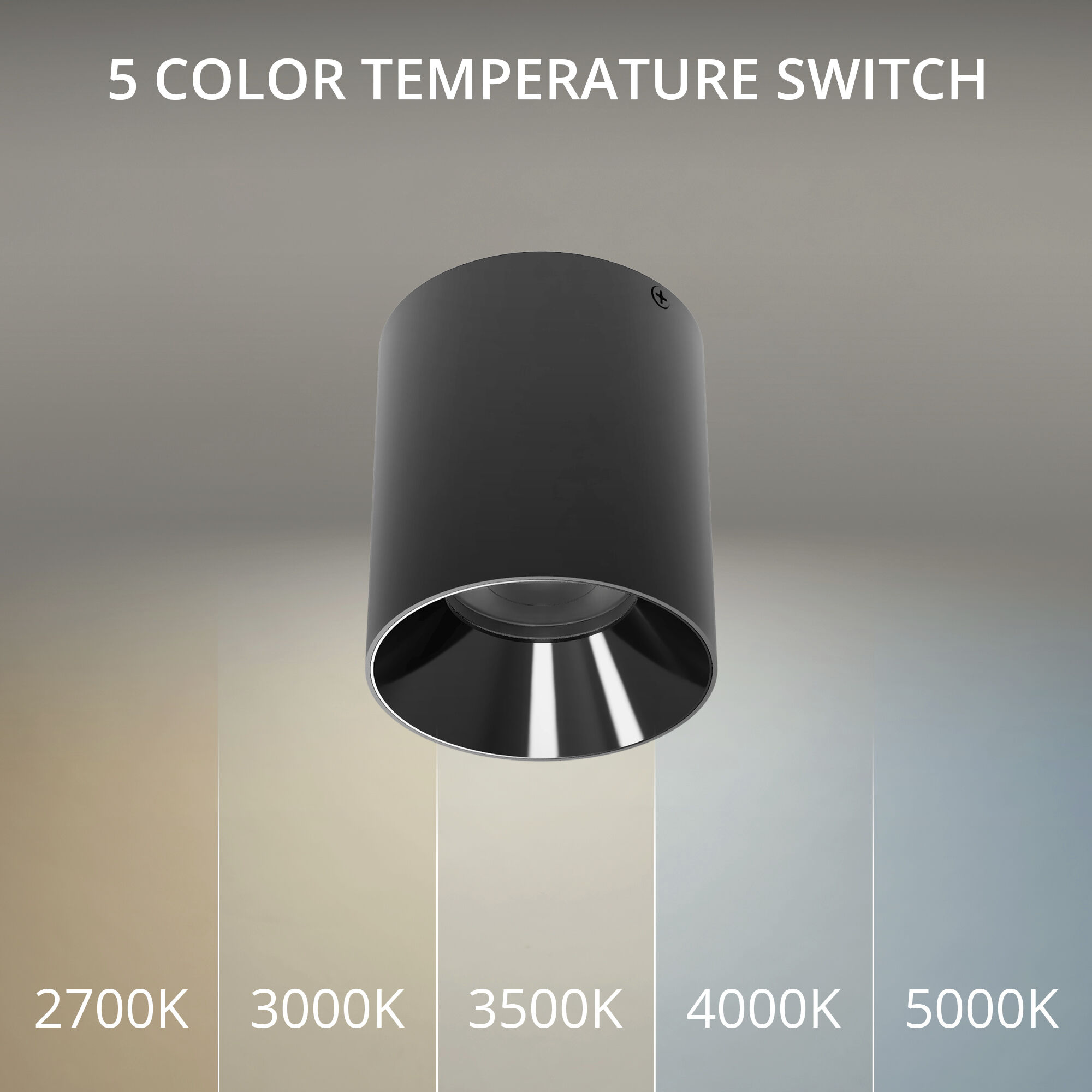 Zoron LED 3.63 inch Black Outdoor Ceiling Lighting