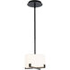 Laurel LED 8 inch Black Pendant Ceiling Light, dweLED