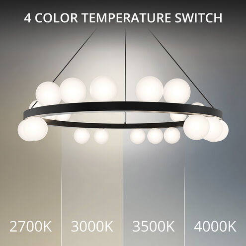 Carousel LED 28 inch Black Chandelier Ceiling Light in 2700K, dweLED