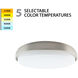 Lithium LED 18.82 inch Brushed Nickel Flush Mount Ceiling Light