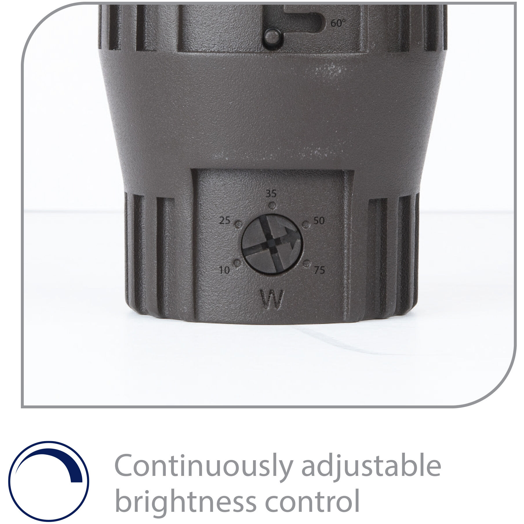 Tyler 120 11.5 watt Solid Brass Coated in Bronze Path Lighting in Bronzed Brass, Inground Recessed Light, WAC Landscape