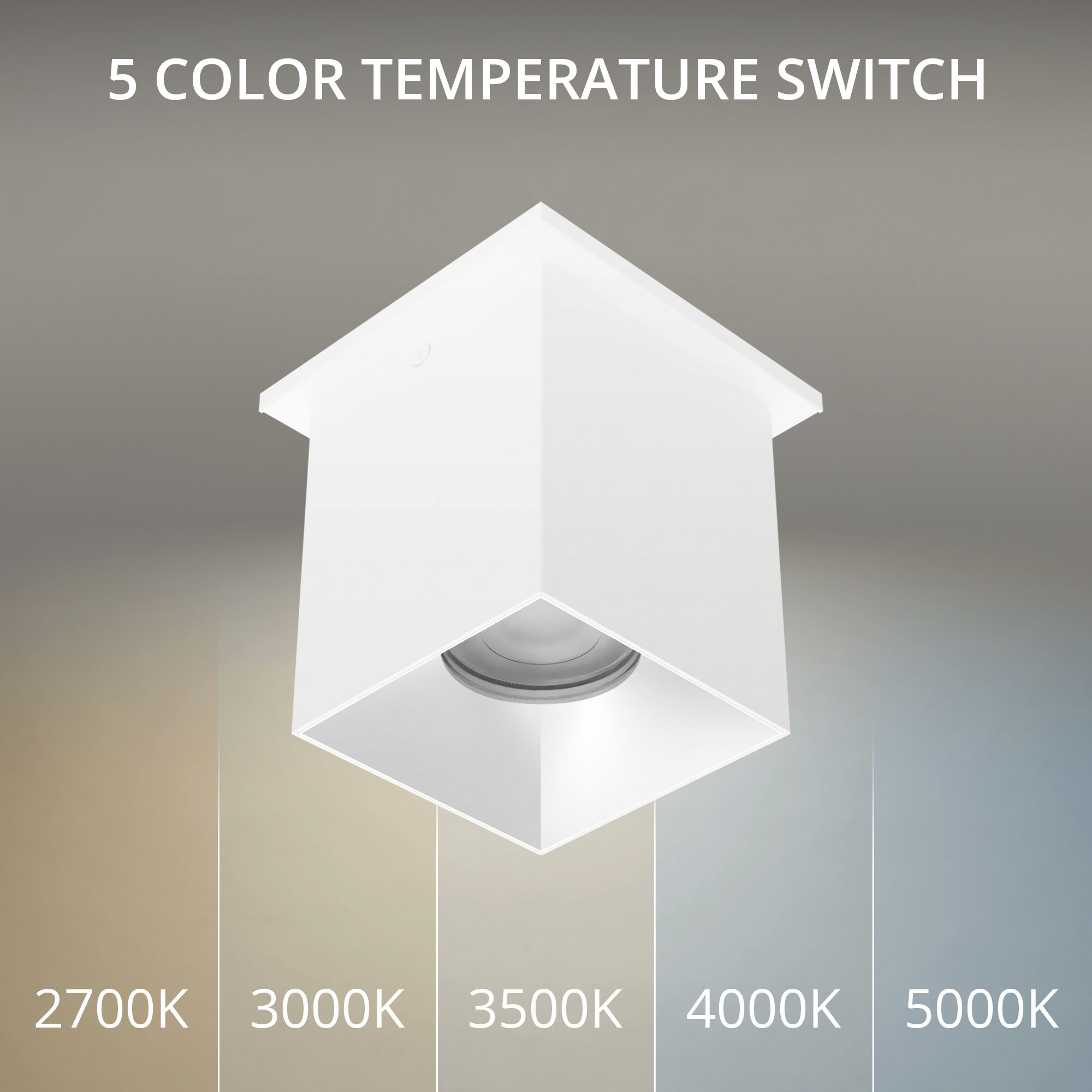 Zoron LED 3.63 inch White and Haze Outdoor Ceiling Lighting in White/Haze