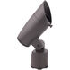 Colorscaping Bronze Low Voltage Accent Light, Colorscaping