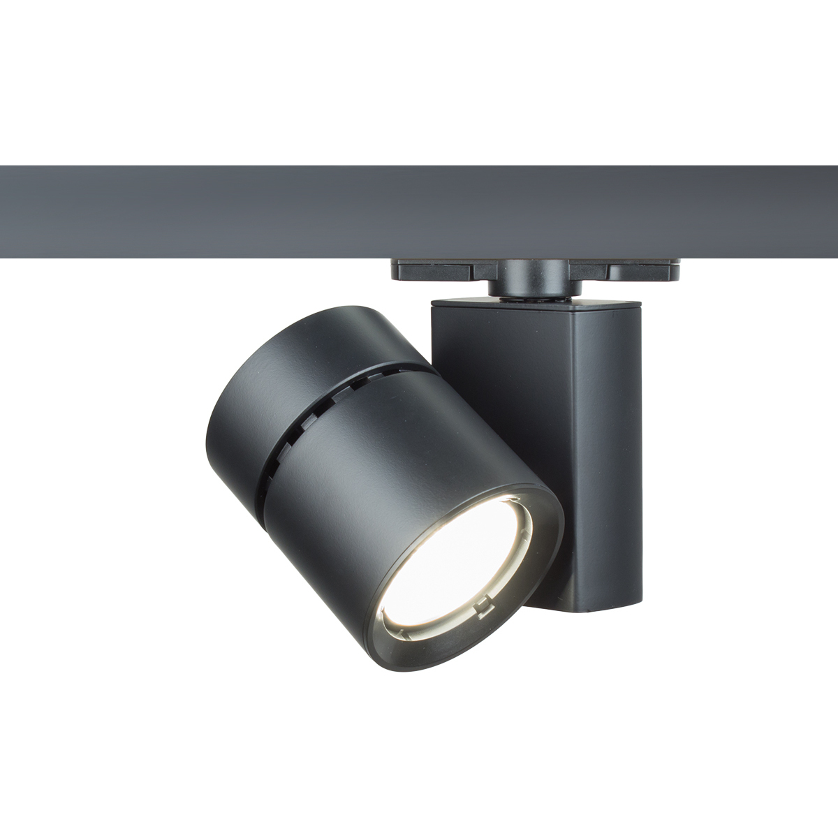 Exterminator II 1 Light 120 Black Track Head Ceiling Light in Narrow, 90, 3000K