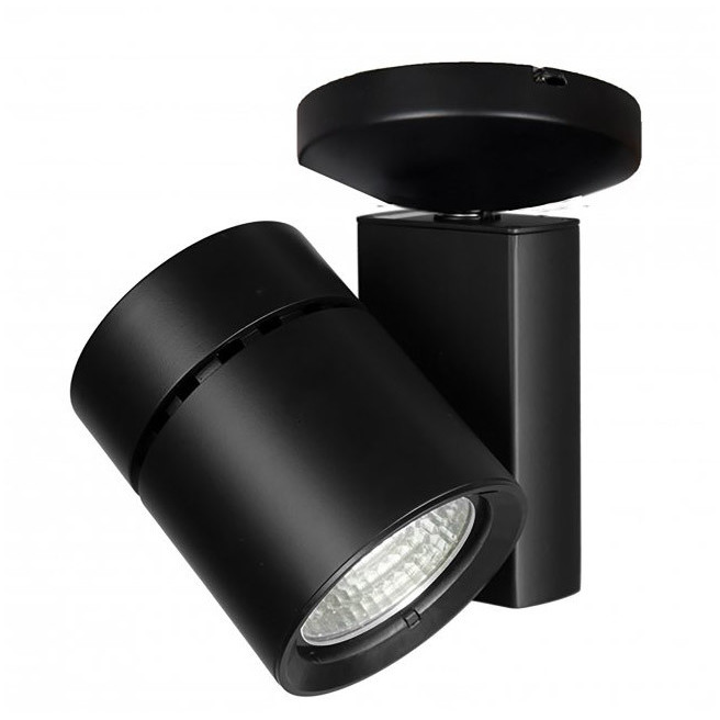 Exterminator II LED 4.5 inch Black Flush Mount Ceiling Light in 85, 2700K, Monopoint